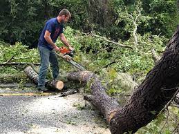 Mulching Services in Littlestown, PA